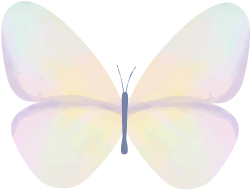 9332e3e13f3387e059252af0aed94ac4-sz_25883.png